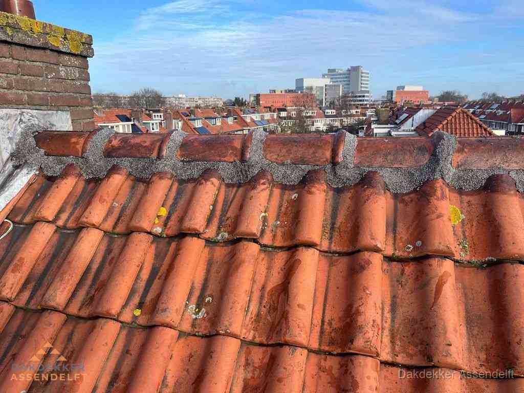 Assendelft Daken Renoveren