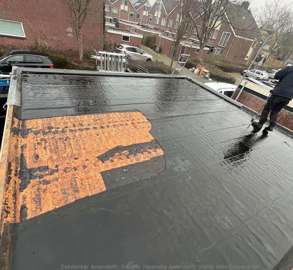 Dakleer Reparatie Assendelft