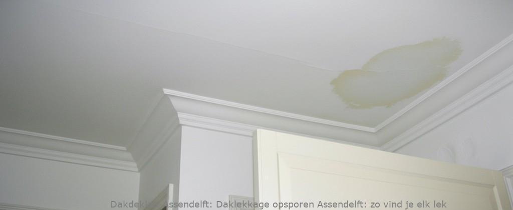 Daklekkage Opsporen Assendelft 1