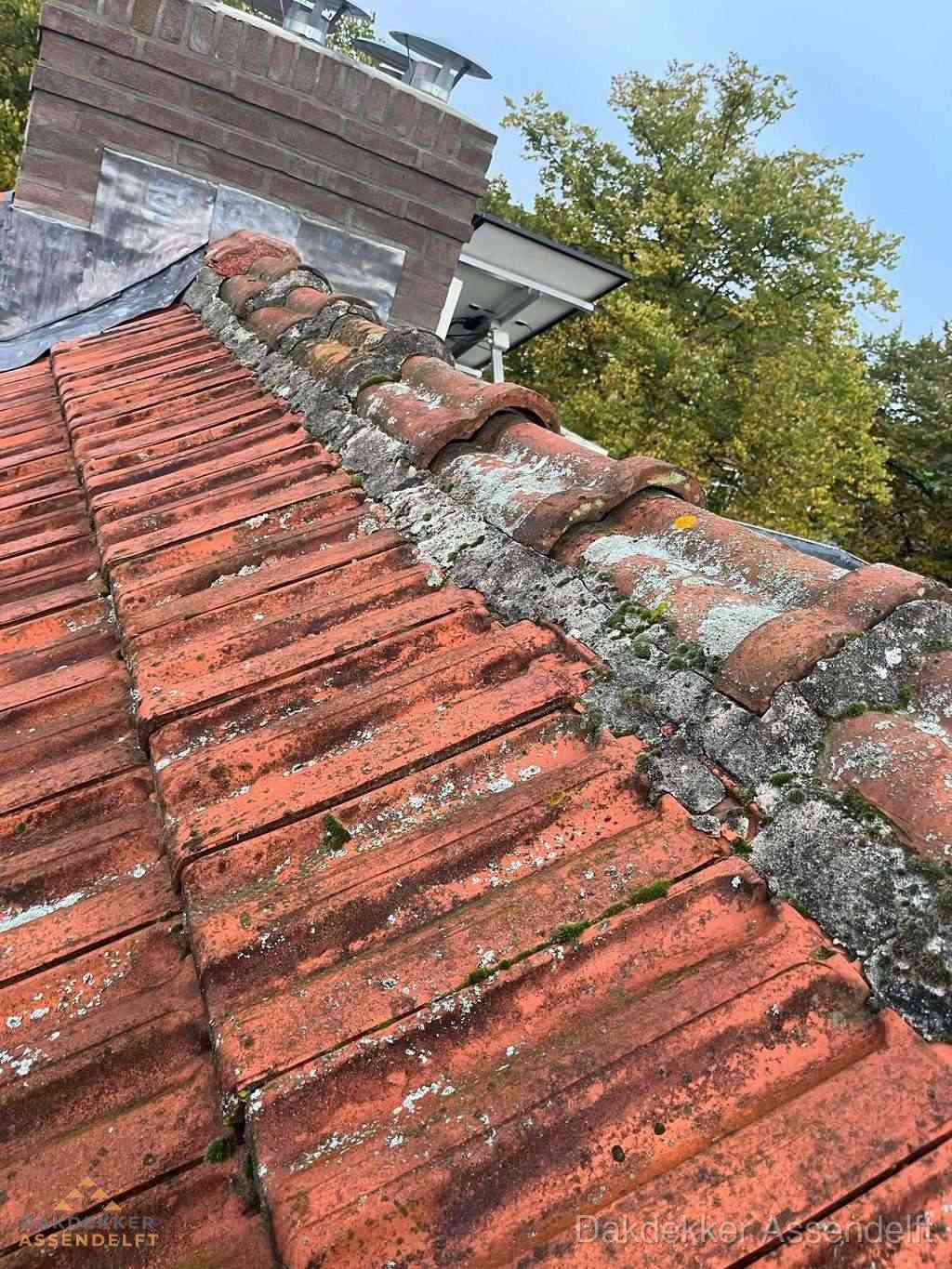 Renovatie Hellend Dak Assendelft