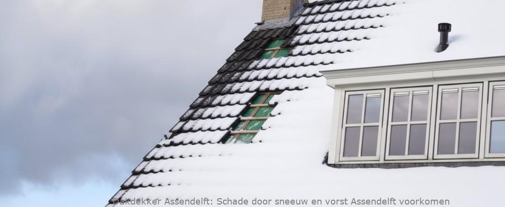 Schade Door Sneeuw En Vorst Assendelft