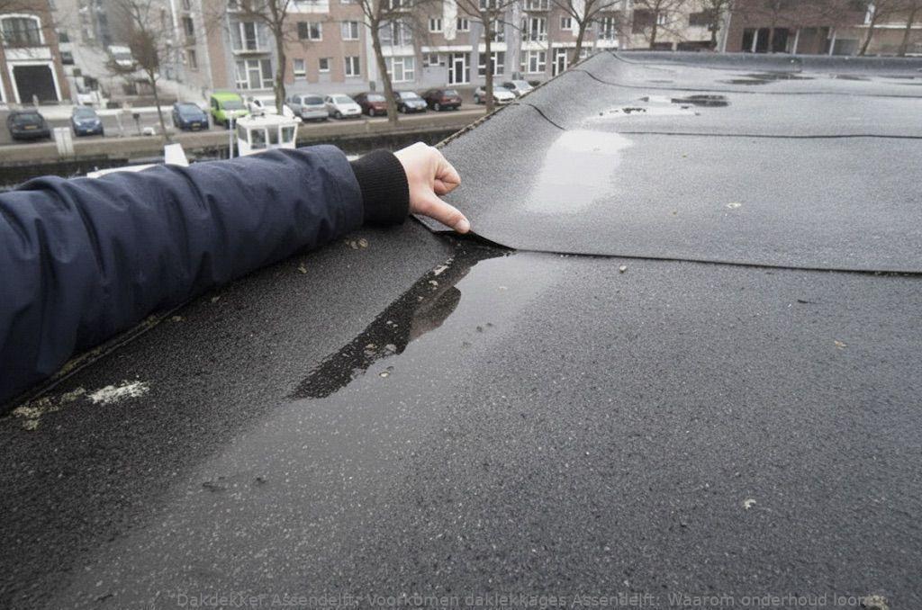 Voorkomen Daklekkages Assendelft